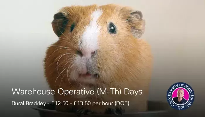 Hamster
