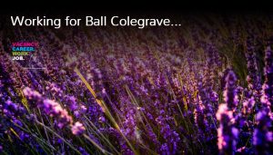 Working for Ball Colegrave