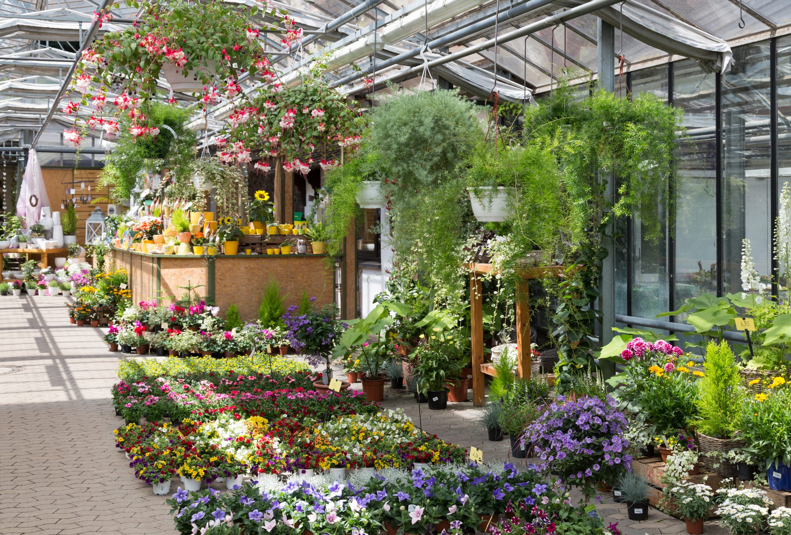 Recruitment agency for Towcester Garden Centre